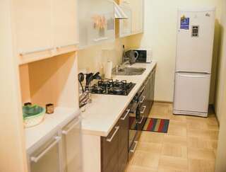 Апартаменты Big Dining Room Apartment Львов Апартаменты с 1 спальней-23